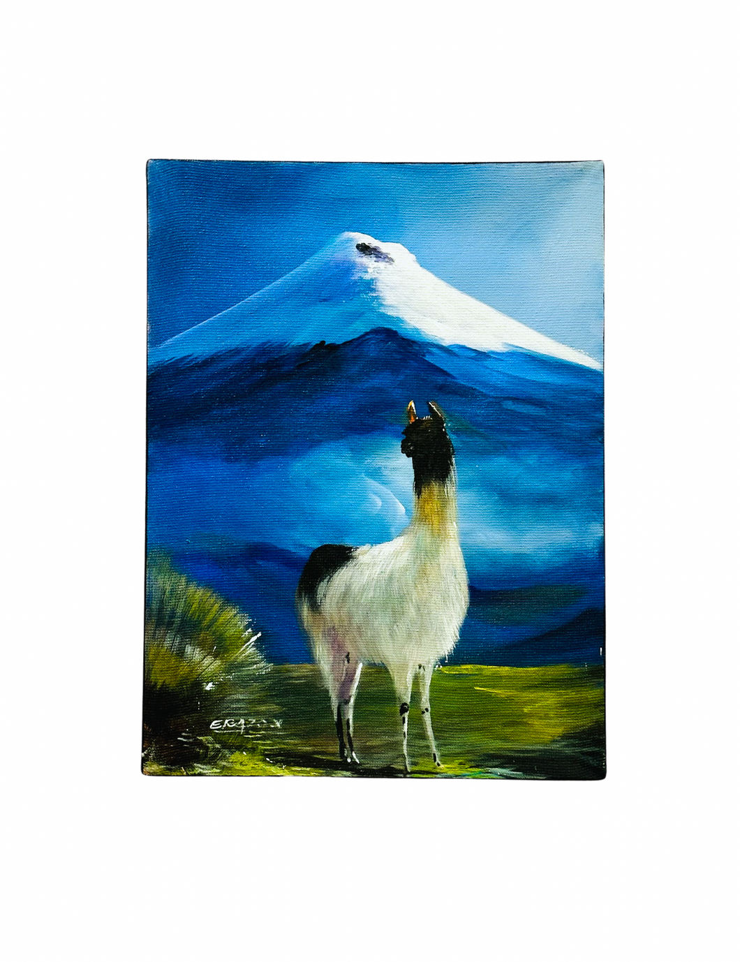 LLama & Cotopaxi - Original Canvas