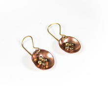 Load image into Gallery viewer, Uvilla (Goldenberry) Earrings