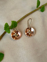 Load image into Gallery viewer, Uvilla (Goldenberry) Earrings