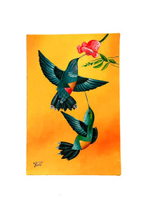 Hummingbird Canvas *variants